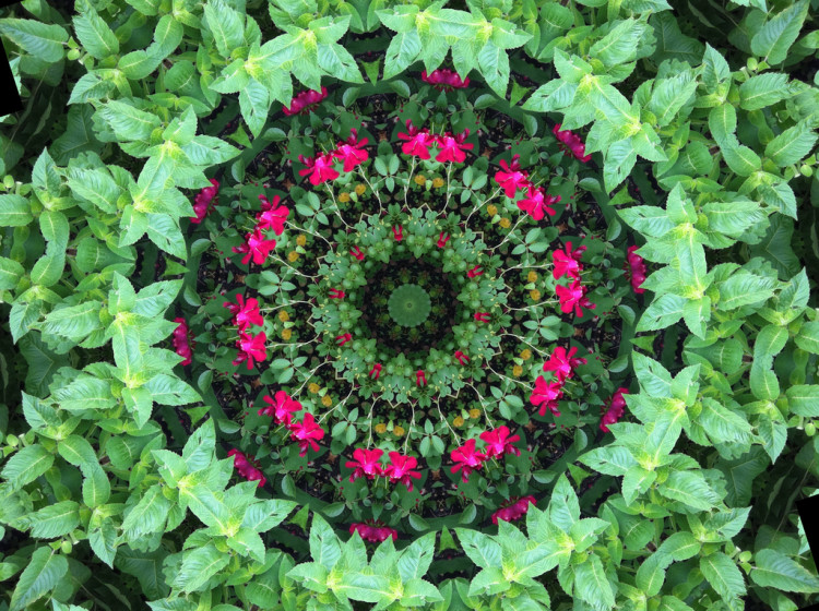 KaleidaCam